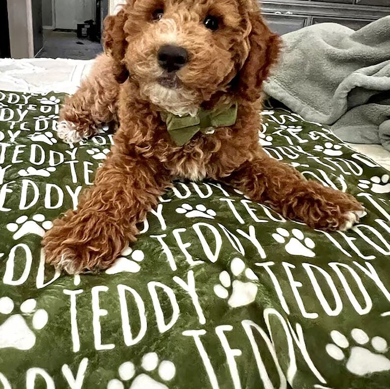 Personalized Paw Print Name Blanket For Pet Personalized Puppy Blanket