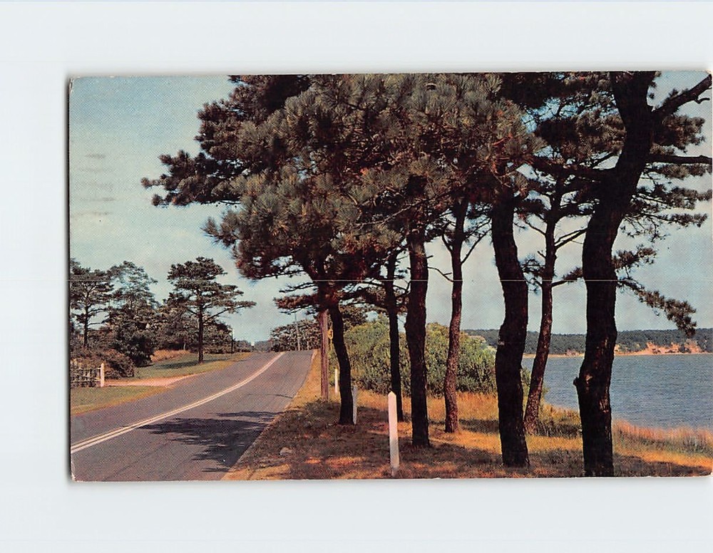 Postcard Greetings From The Pocono Mountains Of Pennsylvania