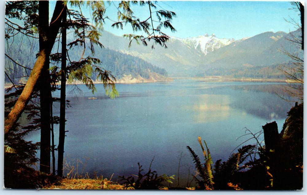 Postcard - 