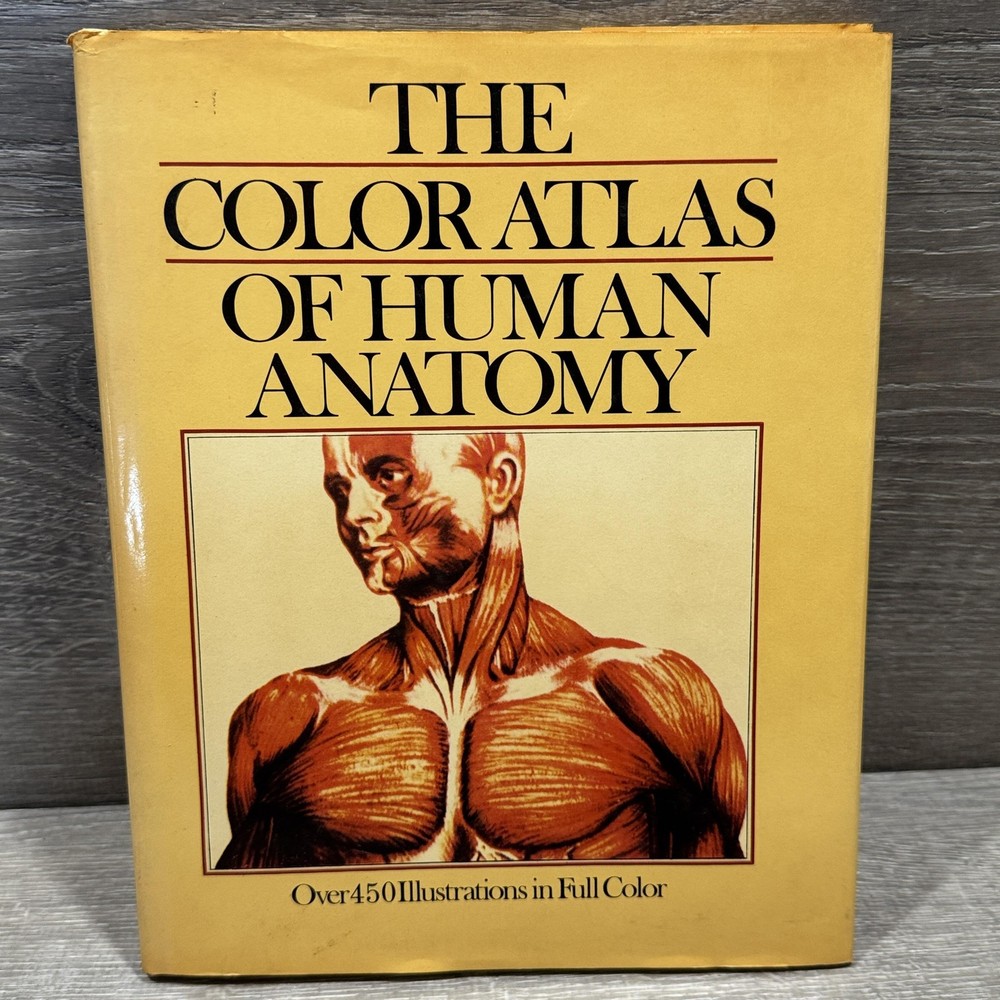 Vintage The Color Atlas Of Human Anatomy Vannini Pogliani Yellow HC Beekman