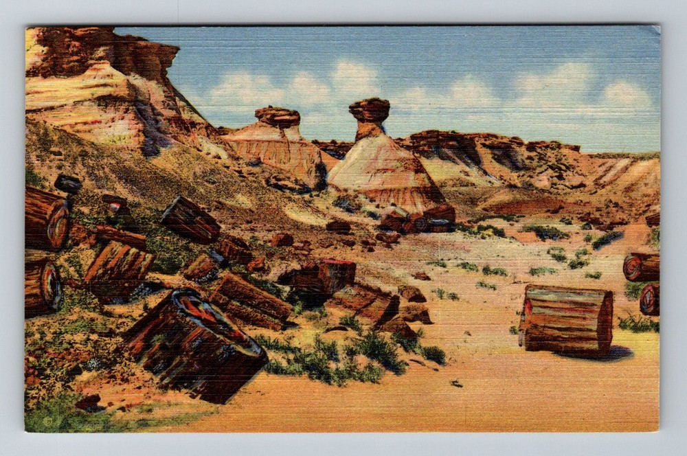 Petrified Forest, AZ-Arizona, Petrified Wood Erosions Badlands Vintage Postcard