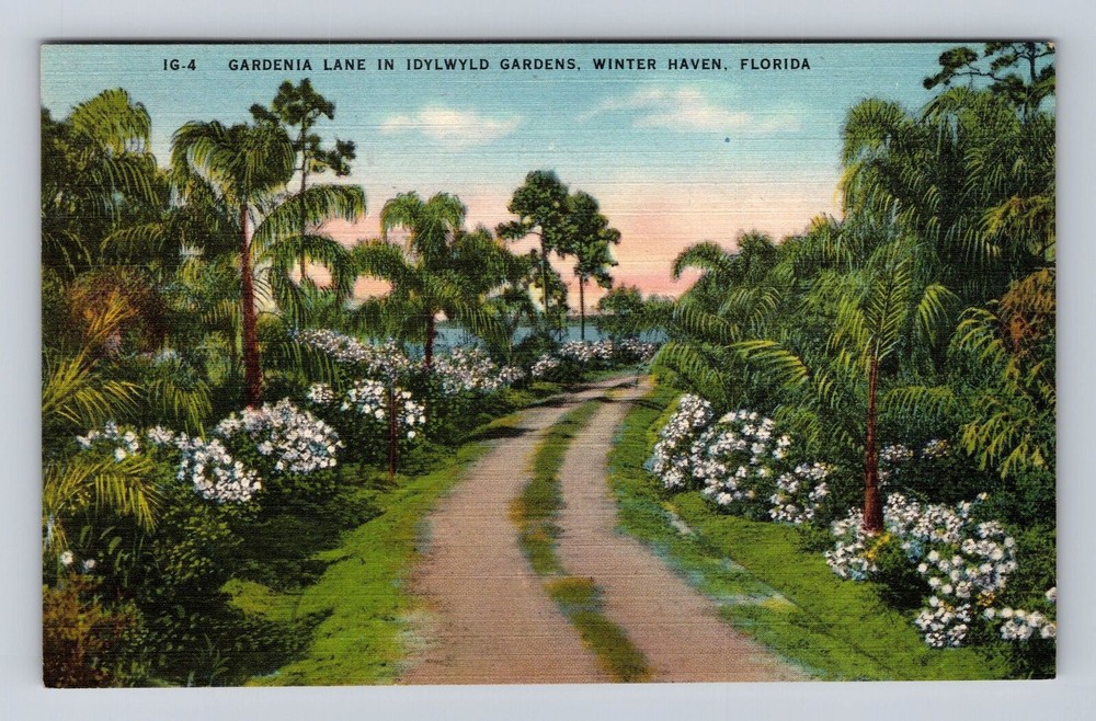Winter Haven FL-Florida, Gardenia Lane In Idylwyld Gardens Vintage Postcard