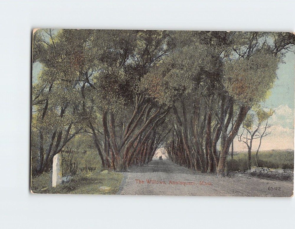 Postcard The Willows Annisquam Massachusetts USA