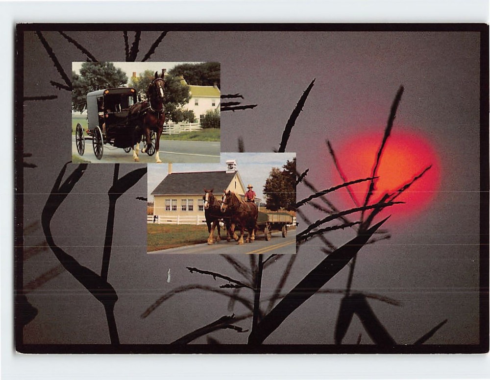 Postcard Amish Scenes & Views