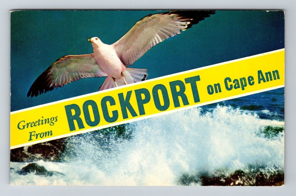 Rockport MA-Massachusetts Banner Scenic General Greetings Bird Vintage Postcard