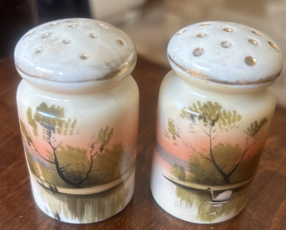 Vintage 2 piece Salt, Pepper Set Made in Japan hand painted.
