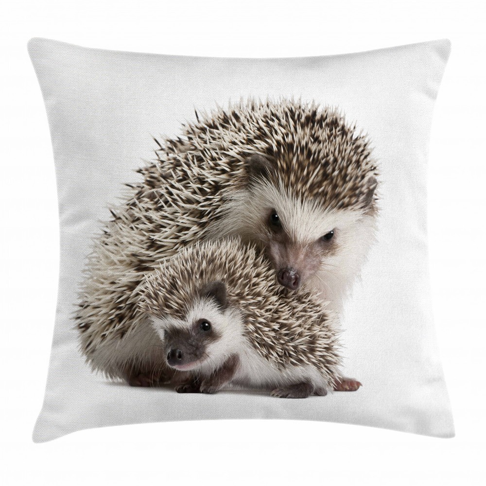 Hedgehog Square Pillow Cover for Kids and Moms 24-Inch Cushion Case