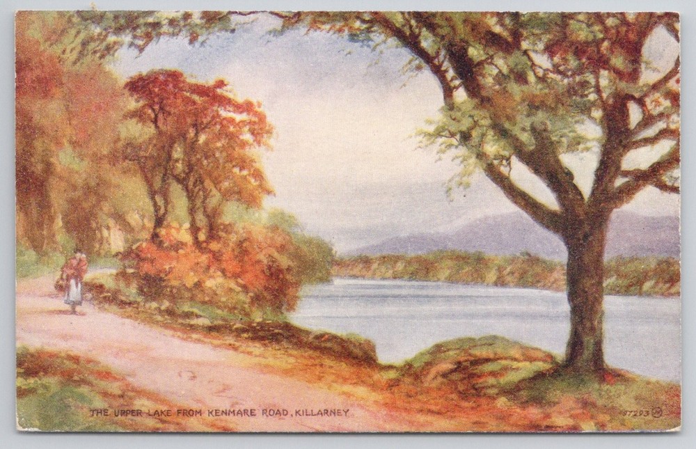 Upper Lake Killarney from Kenmare Road Ireland Valentine's Artcolour Postcard