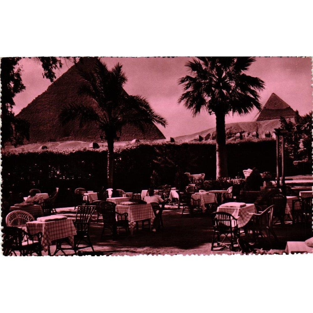 Vintage Cairo Egypt Mena House Hotel Pyramids Giza RPPC Postcard Edition Solly