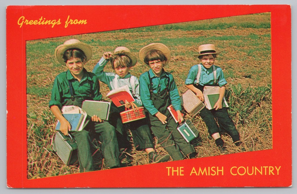 State View~Amish School Boys On Lawn Greeting @ Amish Country~Vintage Postcard