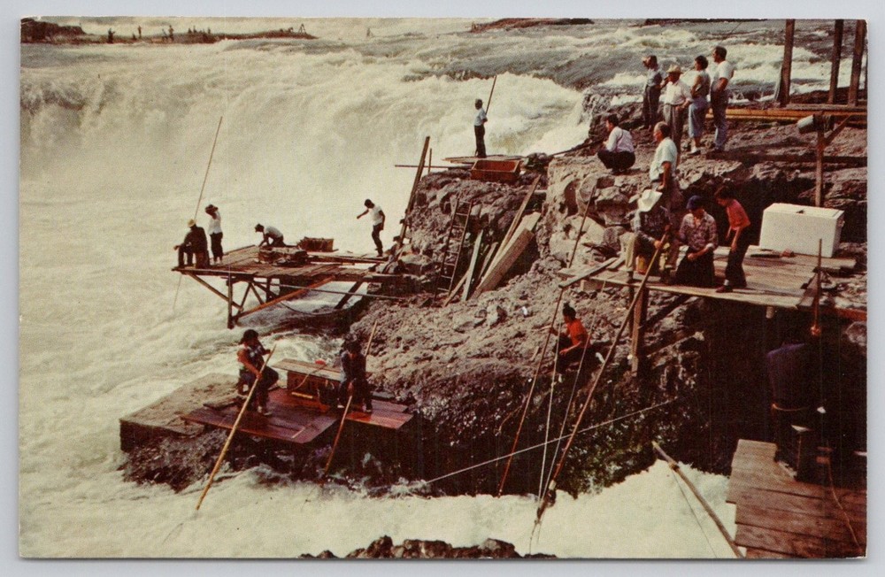 Columbia River Oregon Indians Salmon Fishing Celilo Falls Vintage Postcard