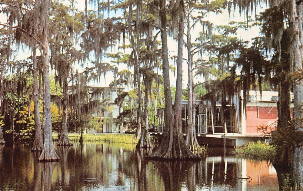 University of Louisiana at Lafayette Campus Burke Hawthorne Hall Vtg Postcard C6