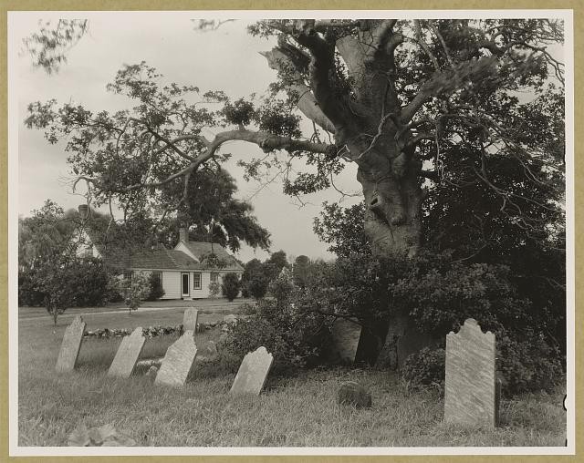 Photo:Warwick Quinby Accomack County Virginia 1930s Cemetery Tombstones