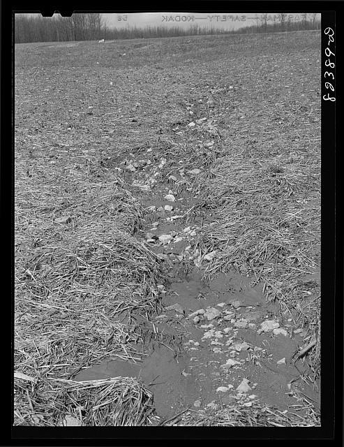Photo:Honey Brook Pennsylvania 1942 Morris Zook Jr Amish field erosion FSA