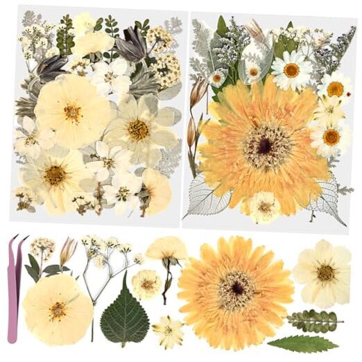 55Pcs Natural Pressed Dried Flowers Resin, Dry Flowers for Resin 55pcs Beige