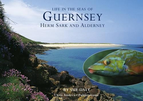Sealife in Guernsey, Herm, Sark and Alderney (Little So... by Daly, Sue HardbackFREE US DELIVERY | ISBN: 190538565X | Quality Books