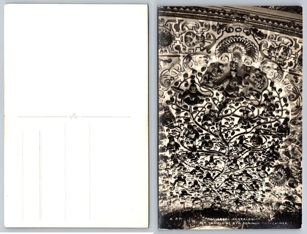 Oaxaca Mexico Santo Domingo Temple Arbol Genealogico RPPC Postcard Agfa