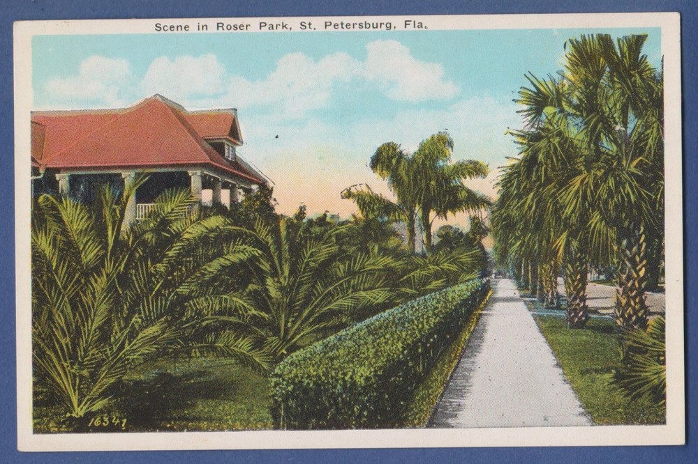 FLorida FL St. Petersburg, Roser Park, Old Vintage Postcard