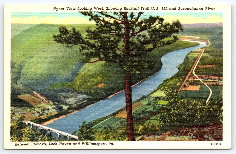 Renovo Pennsylvania Aerial Hyner View Susquehanna River Bridge Vintage Postcard