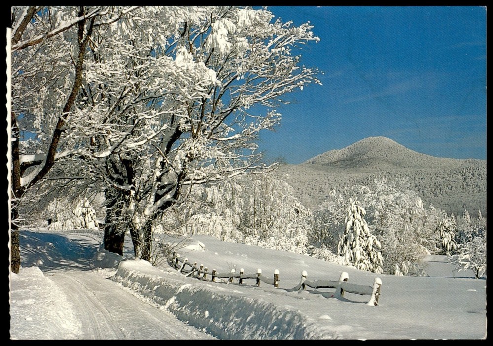 Vintage Salzburg-Hellbrunn Austria Winter Snow Landscape Postcard Huttegger