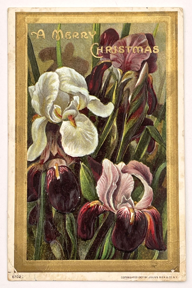 Christmas Purple White Flowers Gilt Embossed Julius Bien c1900s-20s Postcard