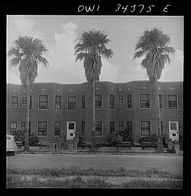Photo:Corpus Christi Texas Apartment Houses 1930s Palm Trees