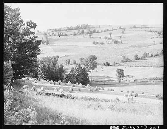 England 1900s Rural Countryside Rolling Hills Landscape Photographic Print