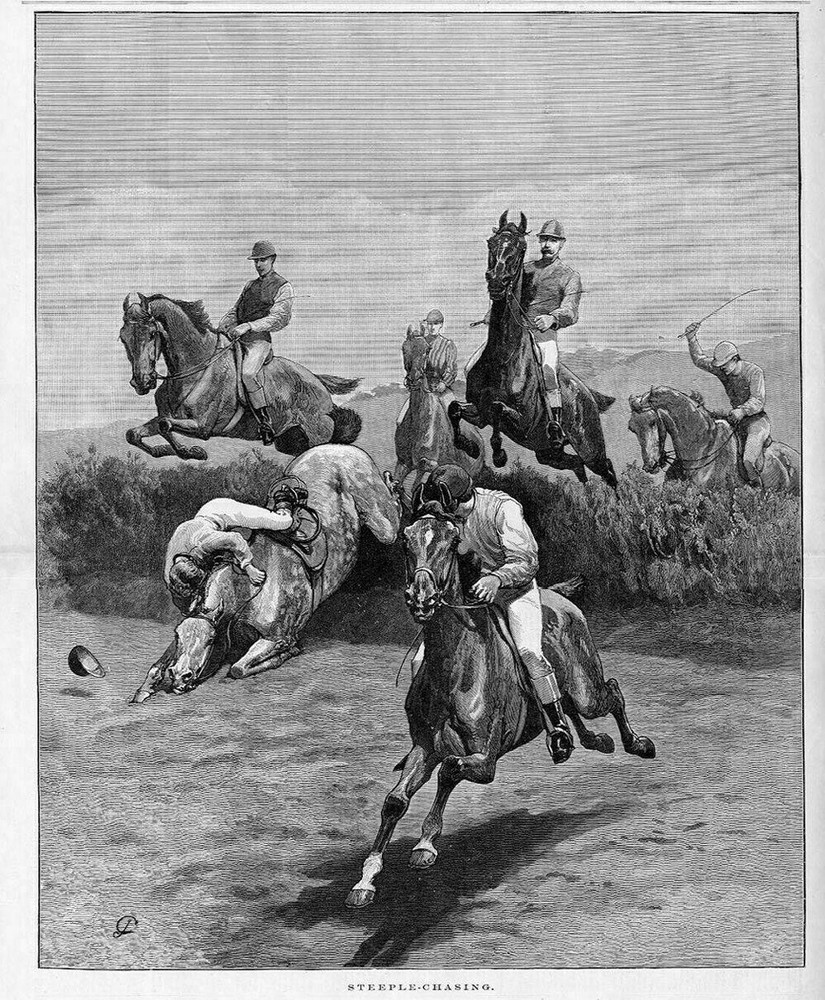 STEEPLE-CHASING HORSE AND RIDER FALLING OVER HEDGE SADDLE EQUINE  STEEPLECHASE