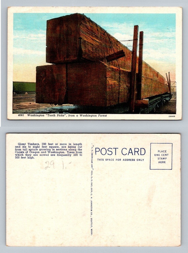 Washington, WA-Washington, Giant Timber Tooth Picks From Forest Vintage Postcard