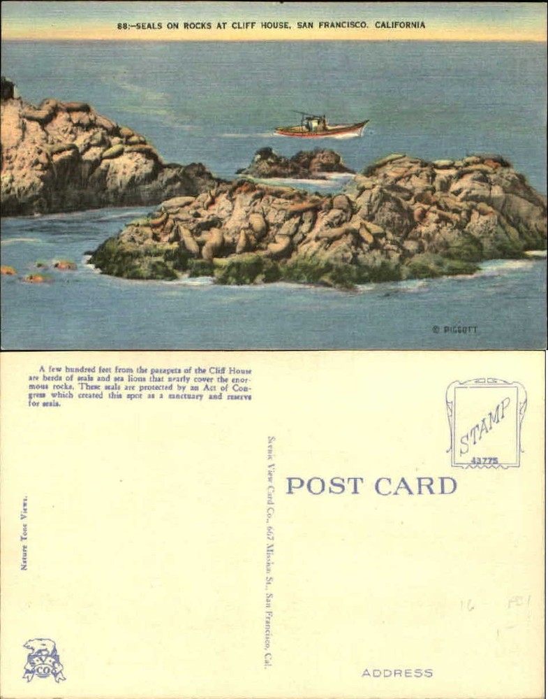 Fishing boat by Seal Rocks & Cliff House San Francisco California~1940s postcard