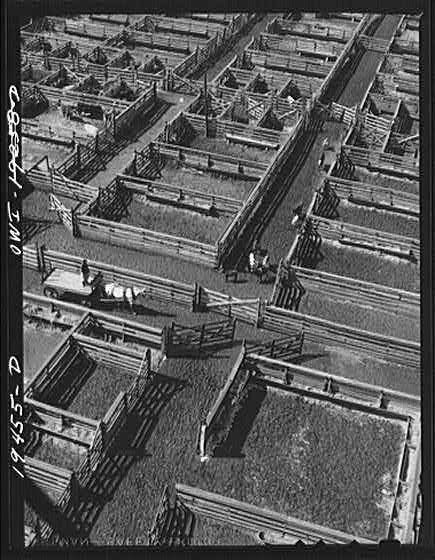 Photo:Kansas City Missouri 1900s Stockyards Cattle Pens Aerial View