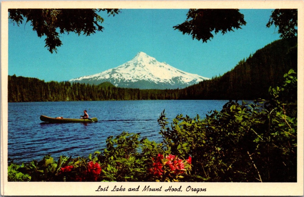 Oregon OR Mount Hood Lost Lake Postcard Old Vintage Card View Standard Souvenir