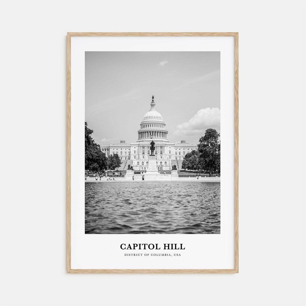 Capitol Hill Wall Art Capitol Hill Wall Decor Capitol Hill Poster Capitol Hill