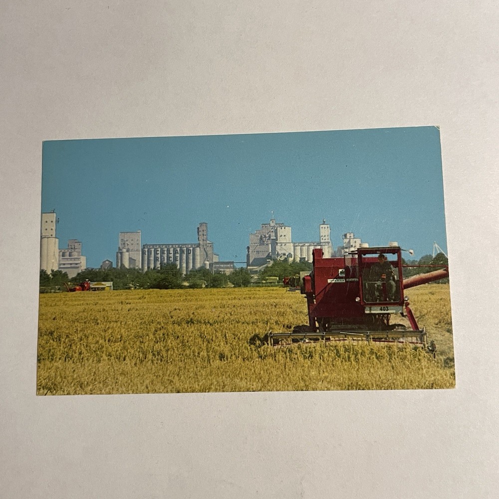 Stuttgart Arkansas AK Postcard The Rice And Duck Capital Of The World Scene City