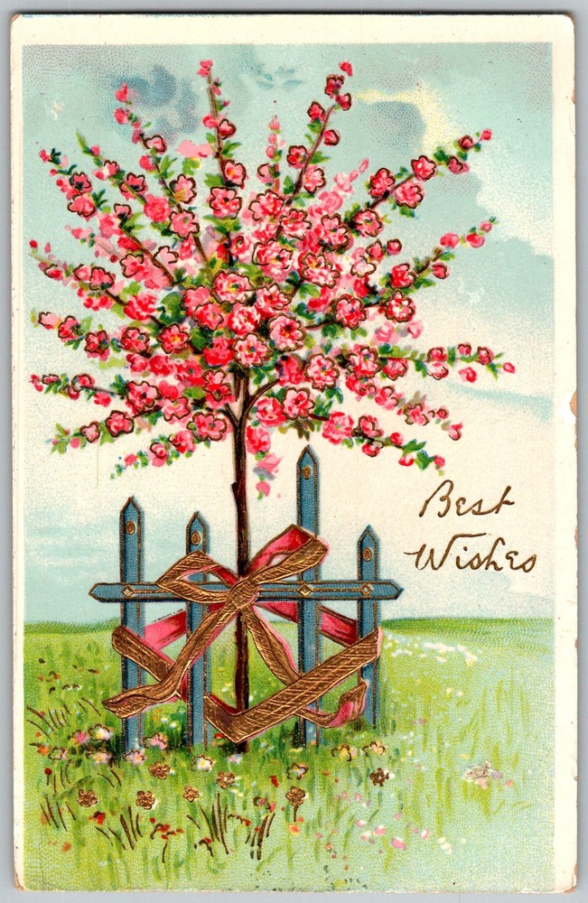 Antique Postcard Flowering Tree Pink Blossoms 1910s