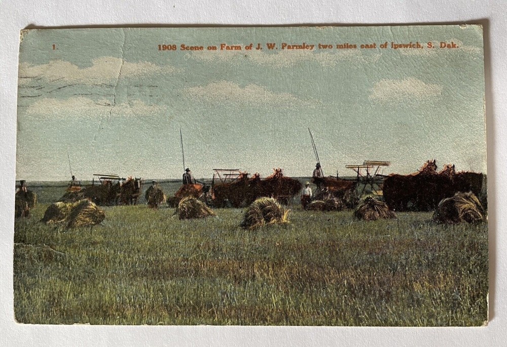 Ipswich SD South Dakota Postcard 1911 Parmley Farm equipment Hay Horses Bailers