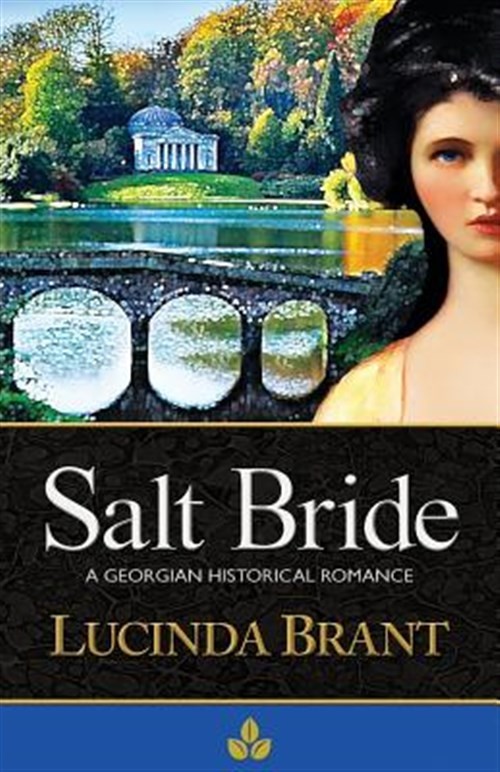Salt Bride, Paperback by Brant, Lucinda, Like New Used, Free shipping in the US