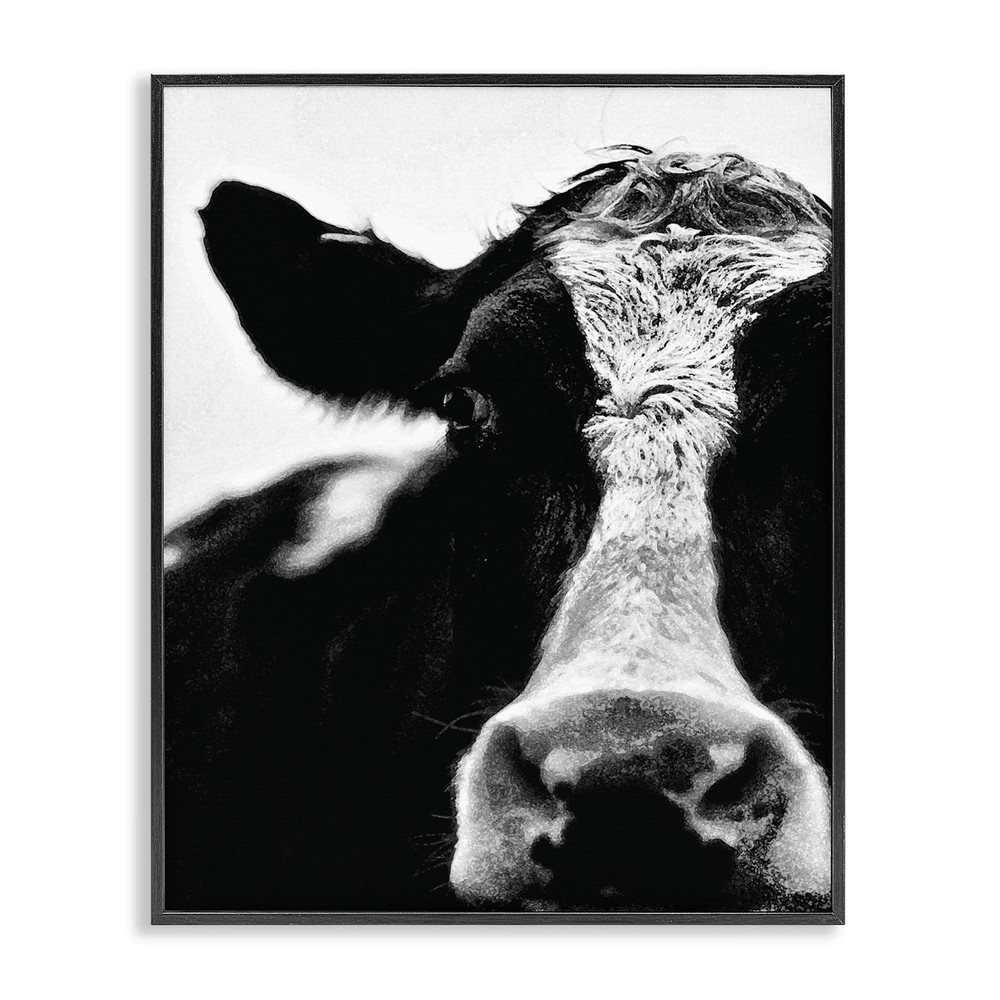 The Stupell Home Decor Collection Cow Black and White Close up Framed Giclee ...