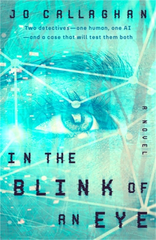 In the Blink of an Eye (Paperback or Softback)