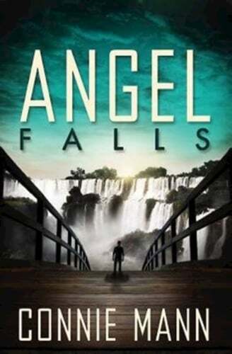 Angel Falls by Connie Mann: Used