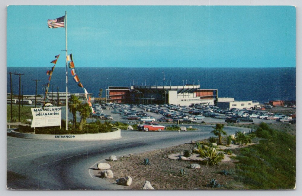 Marineland of the Pacific Rancho Palos Verdes CA 1960 Vintage Postcard