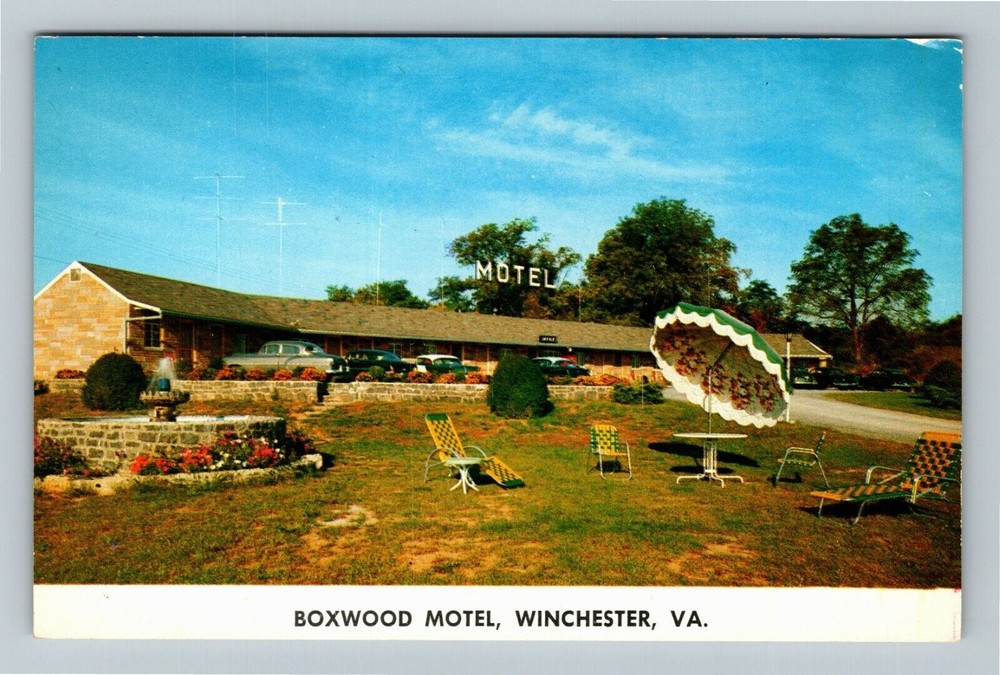 Winchester VA-Virginia, Boxwood Motel, Antique  Vintage Souvenir Postcard