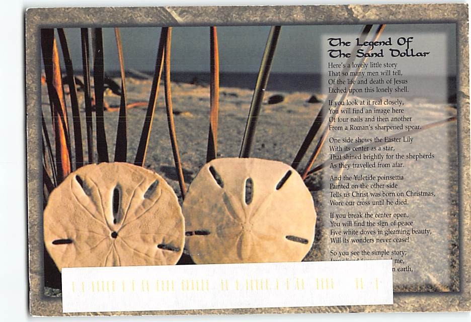 Postcard Legend of the Sand Dollar