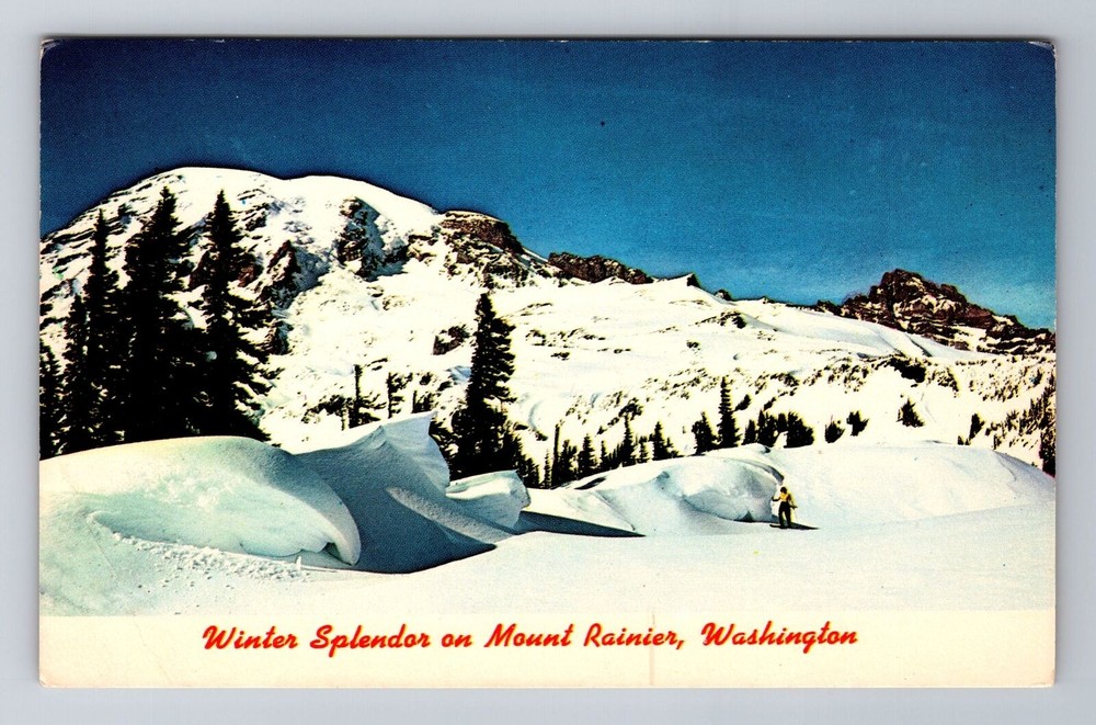Ashford WA-Washington, Mt Rainier, Antique Vintage Souvenir Postcard