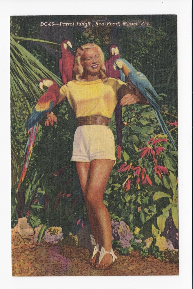 Parrot Jungle Red Road Miami Florida Birds Linen Postcard