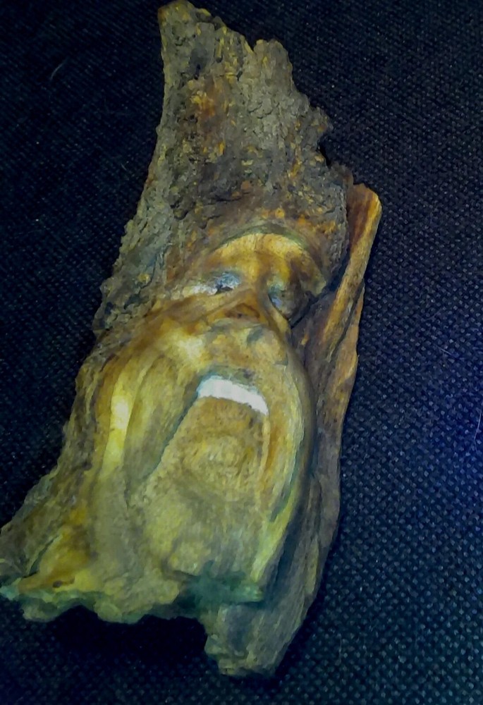 Wood Carved Sprite/Gnome Face Wall Hanging