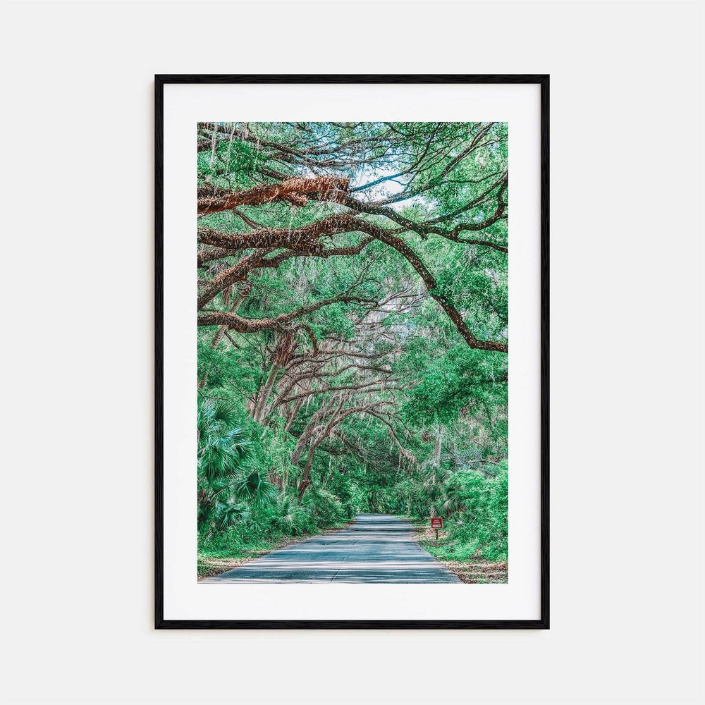 Gainesville Colorful Poster Print No 2 Gainesville Photo Art Wall Decor