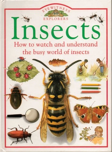 Insects (Eyewitness Explorers) by Parker, Steve, Very Good Book