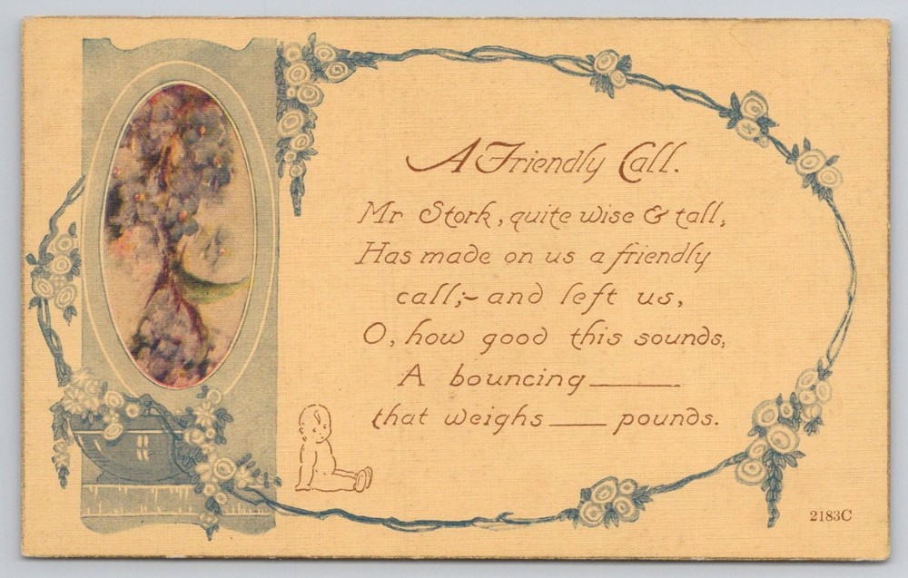 Vintage Stork Baby Birth Announcement Postcard Unused Made in USA