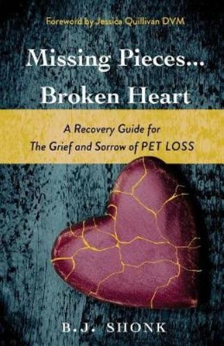 B J Shonk Missing Pieces...Broken Heart (Paperback)Another great item from Rarewaves USA | Free delivery!